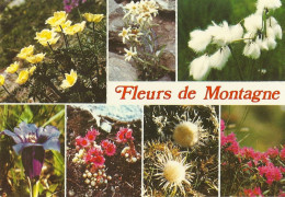 *CPM - Fleurs De Montagne - Multivues - Autres & Non Classés
