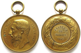 Médaille En Cuivre Dorée Académie Du Hainaut 1893, Léopold II Roi Des Belges , Par Wurden - Sonstige & Ohne Zuordnung