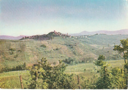 ROVESCALA PANORAMA SUI VIGNETI ANNO 1971 VIAGGIATA - Pavia