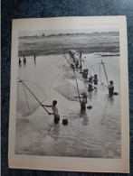 AFFICHE  -  PHOTOGRAPHIQUE  - PECHEURS LAOTIENS SUR LE  MEKONG , DANS LA REGION DE VIENTIANE - Posters