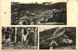 Krausenbach - Hochspessart - Aschaffenburg