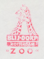 Meter Cut Netherlands 1989 Giraffe - Zoo Rotterdam - Other & Unclassified