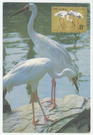 Maximum Card China 1986 Bird - White Crane  - Autres & Non Classés