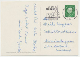 Card / Postmark Germany 1961 Elephant - Giraffe - Zoo Duisburg - Other & Unclassified