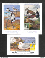 PAYS-BAS - NEDERLAND - 3 Cartes MAXIMUM 1961 - Avocette - Vanneau - Goëland - Cartoline Maximum