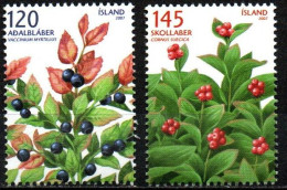 Island 2007 - Mi.Nr. 1175 - 1176 - Postfrisch MNH - Früchte Obst Beeren Berries - Fruit