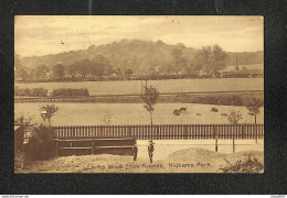 ROYAUME-UNI - ANGLETERRE - Larks  Wood  From Avenu?, Highams Park - 1913 - Otros & Sin Clasificación