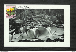 RUANDA-URUNDI - Carte MAXIMUM 1958 - Palais Du CONGO BELGE Et Du RUANDA-URUNDI - Fleurs - COSTUS - Other & Unclassified