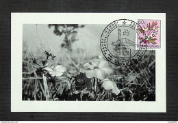 RUANDA-URUNDI - Carte MAXIMUM 1958 - Palais Du CONGO BELGE Et Du RUANDA-URUNDI - Fleurs - EUPHORBIA - Altri & Non Classificati