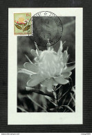 RUANDA-URUNDI - Carte MAXIMUM 1958 - Palais Du CONGO BELGE Et Du RUANDA-URUNDI - Fleurs - PROTEA - Altri & Non Classificati