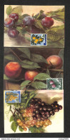 SAINT-MARIN - SAN MARINO - 3 Cartes MAXIMUM 1958 - Fruits - Altri & Non Classificati