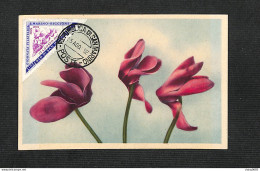 SAINT-MARIN - SAN MARINO - Carte MAXIMUM 1952 - Fleurs - Sonstige & Ohne Zuordnung