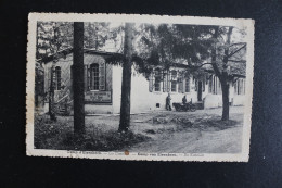 S-C 174 / Photo De Militaire - Liège  Camp Elsenborn  De Kantien / La Cantine / 1951 - Elsenborn (Kamp)