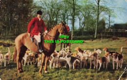 R588466 Horse. Dogs. Salmon - Mundo
