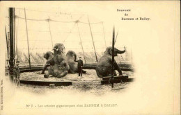 CIRQUE - Carte Postale - Souvenir De Barnum Et Bailey - Les Elephants - L 152173 - Circus