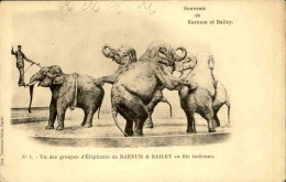 CIRQUE - Carte Postale - Un Des Groupes D’éléphants De Barnum Et Bailey En File Indienne- L 152178 - Circo