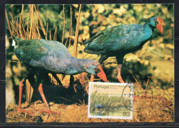 PORTUGAL PORTOGALLO 1985 NATIONAL PARKS AND RESERVES RIA FORMOSA LAGOON PARK 80e MAXI MAXIMUM CARD CARTE - Cartoline Maximum