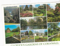 Glorious Gardens Of Cornwall, Multiview -   Unused Postcard   - L Size 17x12Cm - LS4 - Otros & Sin Clasificación