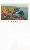 Cornwall Coast -   Unused Postcard   - L Size 17x12Cm - LS4 - Other & Unclassified