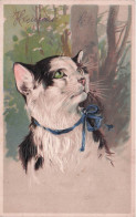 Chat Carte Gaufrée - Gatti