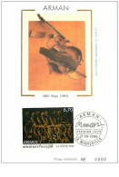 TIMBRES.n°27442.CARTE MAXIMUM.1996.ARMAN.NBC RAGE.1961 - 1990-1999