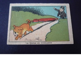 Benjamin Rabier Illustrateur. N°150195 .la Queue En Trompette.chien .7 X 10.5 Cm - Otros & Sin Clasificación