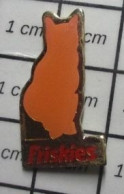 1618A Pin's Pins / Beau Et Rare /  ANIMAUX / CHAT ORANGE FRISKIES - Animals