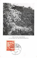 AUTRICHE.Carte Maximum.AM14150.1948.Cachet Wien.Vue Sur Le Leopoldsberg Avec Les Restes De L'ancien Château De Badenberg - Gebruikt