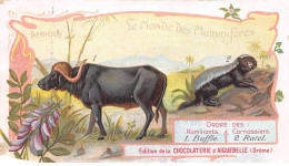 CHROMOS.AM23083.7x10 Cm Env.Chocolat D'Aiguebelle.Le Monde Des Mammifères.Ruminant-Buffle.Carnassiers-Ratel - Aiguebelle