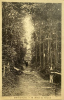 CPA BOIS DE CISE (Somme) - Le Chemin Du Paradis - Bois-de-Cise