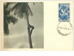 CARTE MAXIMUM.n°14958.GUINEE FRANCAISE.RECOLTE DES NOIX DE COCOS - Briefe U. Dokumente