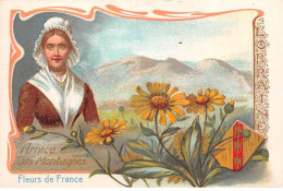 CHROMOS.AM23780.7x10 Cm Env.Chicorée Williot.Fleur De France.Savoie.Lorraine.Arnica Des Montagnes - Tee & Kaffee