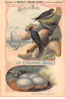 CHROMOS.AM23513.7x11 Cm Env.Chocolat Poulain.Ordre Des Prédateurs.Famille Des Hirundinidés.La Chélidon Ariel - Poulain