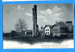 VIX006, Avenches, Ruines Romaines, Cigonier, Nid à Cigogne,  Archéologie Vaudoise, 2163, Précurseur, Non Circulée - Avenches