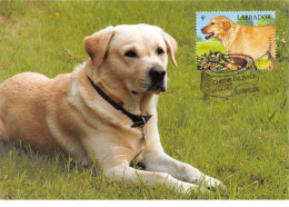 FRANCE.Carte Maximum.AM12063.28/04/2011.Cachet Aubervilliers.Chiens De Race.Le Labrador - 2010-2019