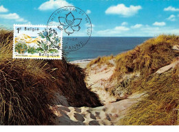 1967 .carte Maximum .belgique .102712 .bescherming Van De Natuur .cachet De Panne . - 1961-1970