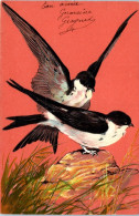 Hirondelles - Carte Gaufrée - Uccelli