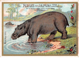 Chromos -COR12394 - Perles Du Japon - Les Pachydermes - Hippopotame - 8x11cm Env. - Sonstige & Ohne Zuordnung