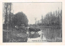 Chromos - COR14373 - Passage De La Rivière - Vaches - Attelage - Arbre - 10x7 Cm Environ - En L'état - Other & Unclassified