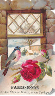 Chromos - COR14446 - Oiseau - Rose - Neige - Maison - 12x8 Cm Environ - En L'état - Other & Unclassified