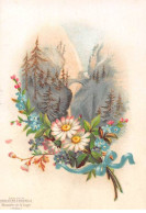 Chromos - COR13948 - Montagnes - Pont- Sapins - Fleurs - 10x7 Cm Environ - En L'état - Sonstige & Ohne Zuordnung