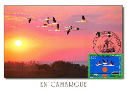 Carte Maximum - FRANCE - COR12852 - 24/01/1999 - En Camargue - Cachet Arles - 1990-1999