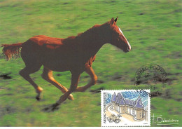 Carte Maximum - FRANCE - COR12895 - 03/12/1999 - Cheval -  Cachet Arnac Pompadour - 1990-1999