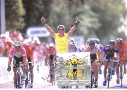 Carte Maximum - FRANCE - COR13263 - 23/07/2003 - Le Tour De France 2003 - 16eme étape - Cachet Bayonne - 2000-2009