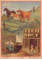 Chromos - COR14933 - Hommes - Vaches - Cuir - 12x8 Cm Environ - Otros & Sin Clasificación