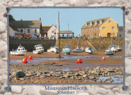 Minehead Harbour Somerset  -   Unused Postcard   - L Size 17x12Cm - LS4 - Minehead