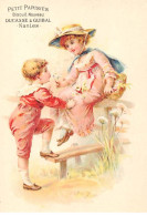 CHROMOS.AM23862.7x10 Cm Env.Petit Parisien.Biscuit Nouveau.Ducasse & Guibal.Enfants.Fleurs - Autres & Non Classés