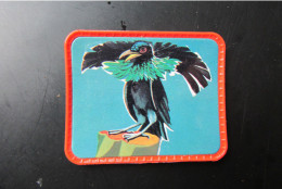 Chromo/Image Plastifié "Cafés MAURICE" - Série "Les Oiseaux Merveilleux" - Années 60/70 - Thé & Café