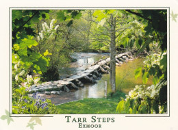 Tarr Steps Exmoor -   Unused Postcard   - L Size 17x12Cm - LS4 - Otros & Sin Clasificación