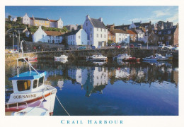 Crail Harbour, Scotland -   Unused Postcard   - L Size 17x12Cm - LS4 - Other & Unclassified